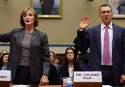 jonathan_gruber_marilyn_tavenner_house_hearing_obamacare