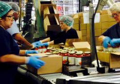 Workers box jars of pasta sauce at a plant run by Chelten House Products in Bridgeport, New Jersey July 27, 2015. (Photo: Reuters)