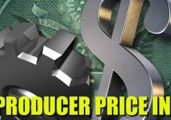 Producer Price Index (PPI) Graphic