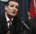 U.S. Sen. Ted Cruz, R-Texas, left, and Texas Republican Governor Greg Abbott, right, hold a joint press conference February 18, 2015 in Austin, Texas.