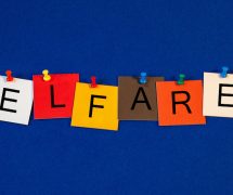 Welfare - sign / issues for welfare and social services. (Photo: AdobeStock)